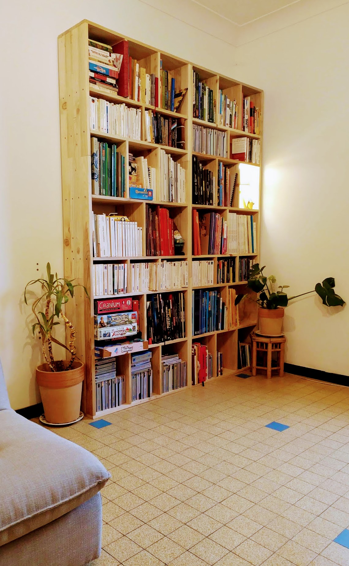 Bibliothèques en bois de palette