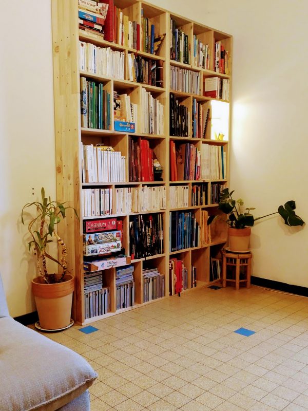 Bibliothèque bois de palette